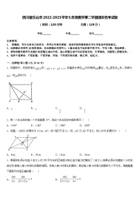 四川省乐山市2022-2023学年七年级数学第二学期期末统考试题含答案