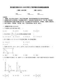 四川省乐至县2022-2023学年七下数学期末质量跟踪监视试题含答案