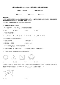 咸宁市重点中学2022-2023学年数学七下期末监测试题含答案