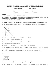 四川省巴中学市南江县2022-2023学年七下数学期末联考模拟试题含答案