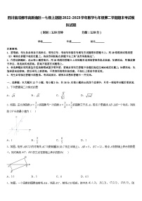 四川省成都市高新南区—七级上期期2022-2023学年数学七年级第二学期期末考试模拟试题含答案