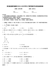 四川省成都市简阳市2022-2023学年七下数学期末学业质量监测试题含答案