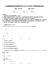 四川省成都市青羊区成都石室中学2022-2023学年七下数学期末联考试题含答案