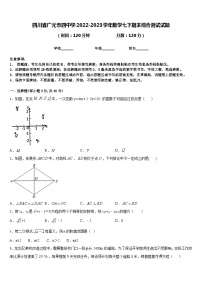 四川省广元市四中学2022-2023学年数学七下期末综合测试试题含答案