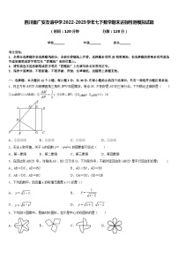 四川省广安友谊中学2022-2023学年七下数学期末达标检测模拟试题含答案