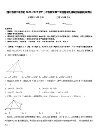 四川省都江堰市初2022-2023学年七年级数学第二学期期末质量跟踪监视模拟试题含答案