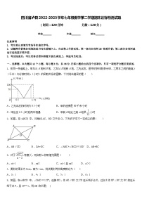 四川省泸县2022-2023学年七年级数学第二学期期末达标检测试题含答案