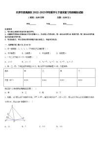 天津市滨海新区2022-2023学年数学七下期末复习检测模拟试题含答案