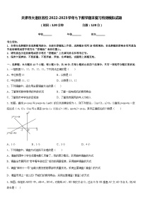 天津市大港区名校2022-2023学年七下数学期末复习检测模拟试题含答案