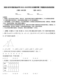 安徽六安市叶集区观山中学2022-2023学年七年级数学第二学期期末达标测试试题含答案