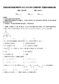 安徽省合肥市滨湖区寿春中学2022-2023学年七年级数学第二学期期末经典模拟试题含答案