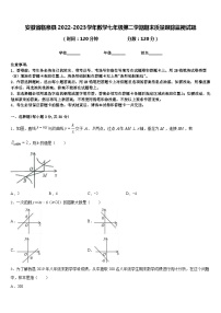 安徽省临泉县2022-2023学年数学七年级第二学期期末质量跟踪监视试题含答案