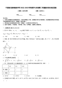 宁夏银川唐徕回民中学2022-2023学年数学七年级第二学期期末综合测试试题含答案