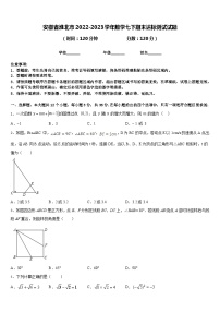 安徽省淮北市2022-2023学年数学七下期末达标测试试题含答案