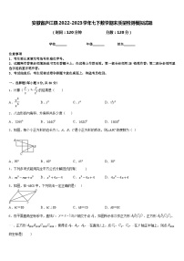 安徽省庐江县2022-2023学年七下数学期末质量检测模拟试题含答案