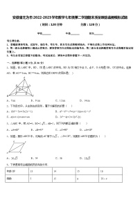 安徽省无为市2022-2023学年数学七年级第二学期期末质量跟踪监视模拟试题含答案