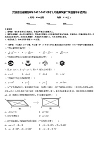 安徽省宿州第四中学2022-2023学年七年级数学第二学期期末考试试题含答案