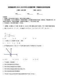 安徽省宿州市2022-2023学年七年级数学第二学期期末达标检测试题含答案