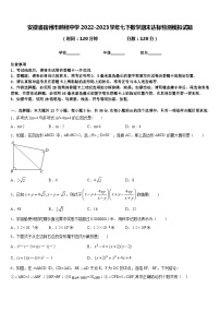 安徽省宿州市鹏程中学2022-2023学年七下数学期末达标检测模拟试题含答案