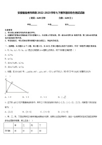 安徽省宿州市泗县2022-2023学年七下数学期末综合测试试题含答案