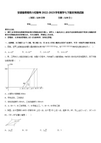 安徽省阜阳市六校联考2022-2023学年数学七下期末预测试题含答案