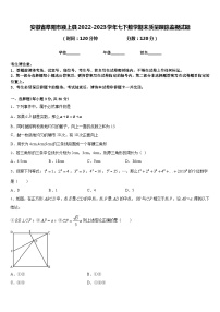 安徽省阜阳市颍上县2022-2023学年七下数学期末质量跟踪监视试题含答案