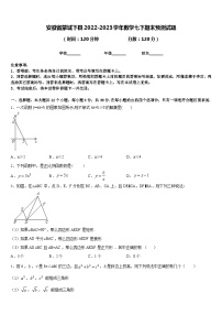 安徽省蒙城下县2022-2023学年数学七下期末预测试题含答案