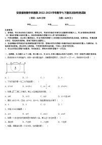 安徽省铜陵市枞阳县2022-2023学年数学七下期末达标检测试题含答案