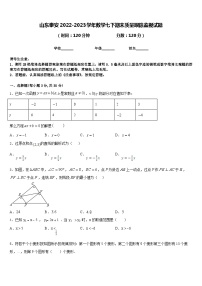 山东泰安2022-2023学年数学七下期末质量跟踪监视试题含答案