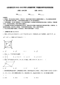 山东省安丘市2022-2023学年七年级数学第二学期期末教学质量检测试题含答案