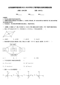 山东省德州市临邑县2022-2023学年七下数学期末达标检测模拟试题含答案