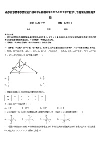 山东省东营市东营区史口镇中学心初级中学2022-2023学年数学七下期末质量检测试题含答案