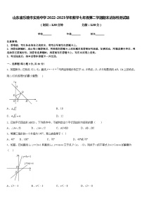 山东省乐陵市实验中学2022-2023学年数学七年级第二学期期末达标检测试题含答案