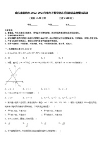 山东省临朐市2022-2023学年七下数学期末质量跟踪监视模拟试题含答案