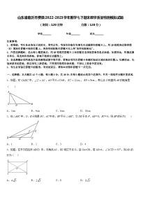 山东省临沂市费县2022-2023学年数学七下期末教学质量检测模拟试题含答案