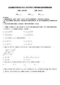 山东省临沂市罗庄区2022-2023学年七下数学期末质量检测模拟试题含答案