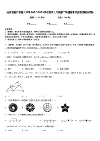 山东省临沂市青云中学2022-2023学年数学七年级第二学期期末综合测试模拟试题含答案