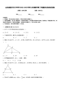 山东省临沂市太平中学2022-2023学年七年级数学第二学期期末达标测试试题含答案