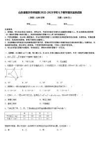 山东省临沂市郯城县2022-2023学年七下数学期末监测试题含答案