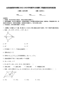 山东省威海市环翠区2022-2023学年数学七年级第二学期期末质量检测试题含答案