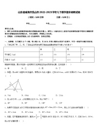 山东省威海市乳山市2022-2023学年七下数学期末调研试题含答案