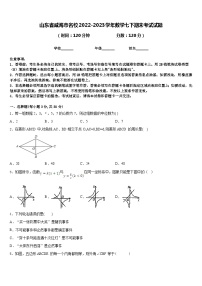 山东省威海市名校2022-2023学年数学七下期末考试试题含答案