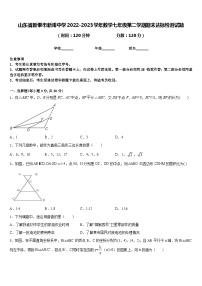 山东省新泰市新甫中学2022-2023学年数学七年级第二学期期末达标检测试题含答案