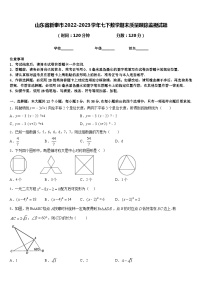 山东省新泰市2022-2023学年七下数学期末质量跟踪监视试题含答案