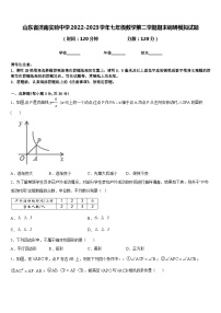 山东省济南实验中学2022-2023学年七年级数学第二学期期末调研模拟试题含答案