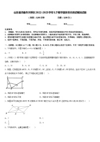 山东省济南市天桥区2022-2023学年七下数学期末综合测试模拟试题含答案