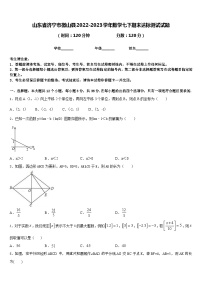 山东省济宁市微山县2022-2023学年数学七下期末达标测试试题含答案