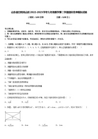 山东省日照岚山区2022-2023学年七年级数学第二学期期末统考模拟试题含答案