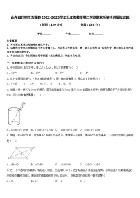 山东省日照市五莲县2022-2023学年七年级数学第二学期期末质量检测模拟试题含答案