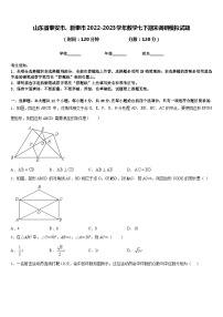 山东省泰安市、新泰市2022-2023学年数学七下期末调研模拟试题含答案